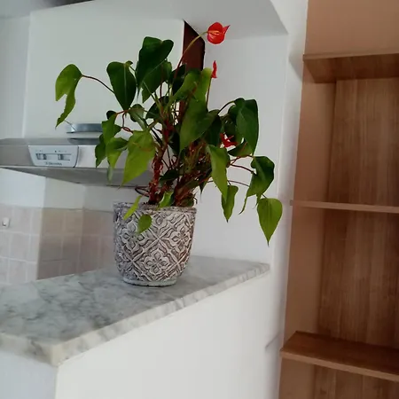 Gero Apartament Lopar